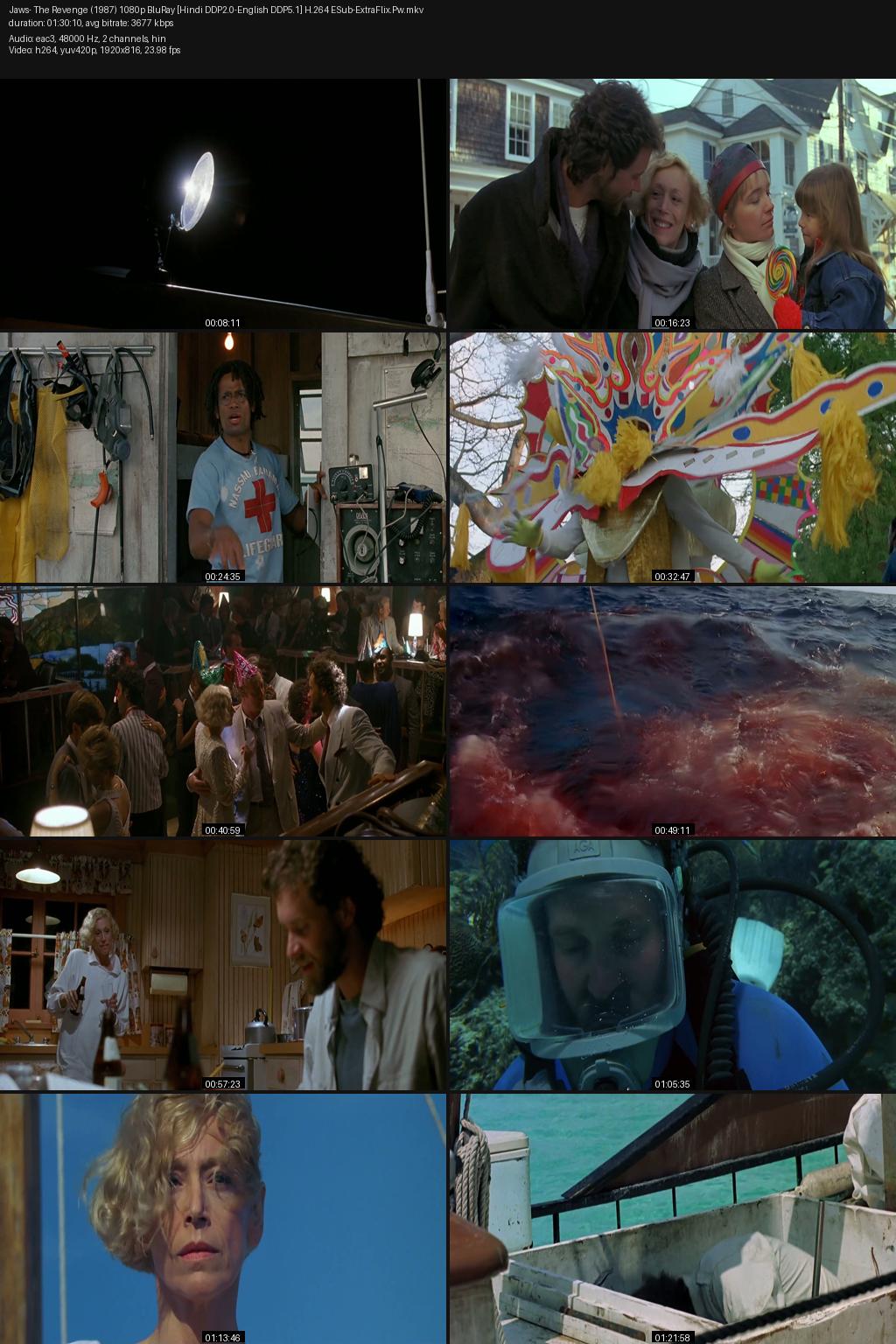 Jaws: The Revenge (1987) [Hindi-English] 1080p 720p 480p BluRay ESub Screenshots
