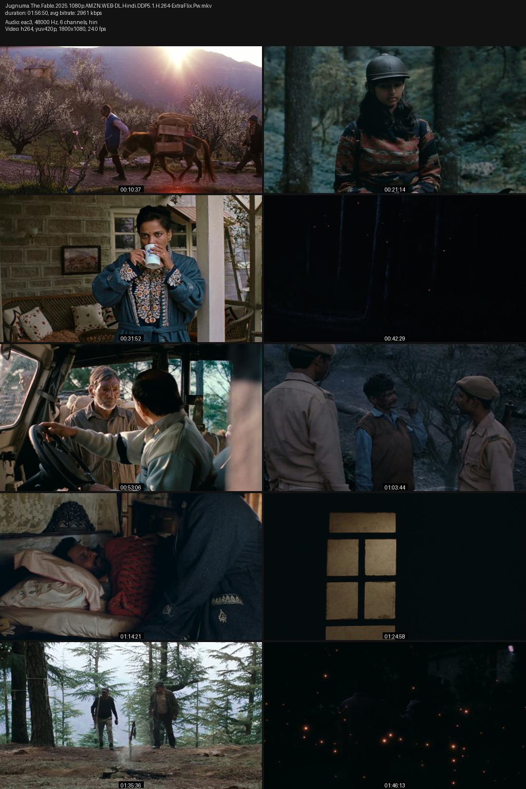 Jugnuma: The Fable (2024) [Hindi] 1080p 720p 480p Amazon WEB-DL ESub Screenshots