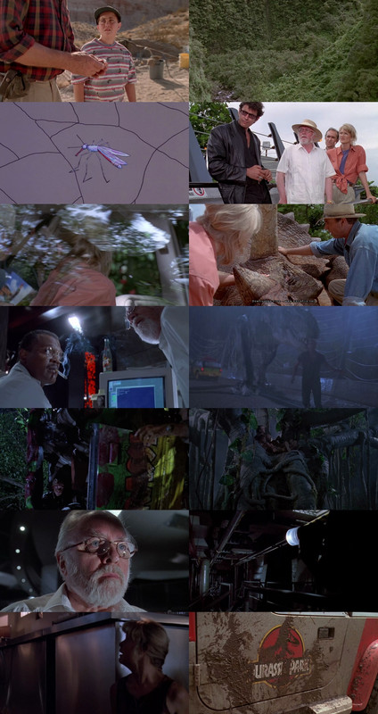Jurassic Park (1993) 1080p | 720p | 480p BluRay [Hindi (हिन्दी) + English] DD5.1 HEVC ESub Screenshots