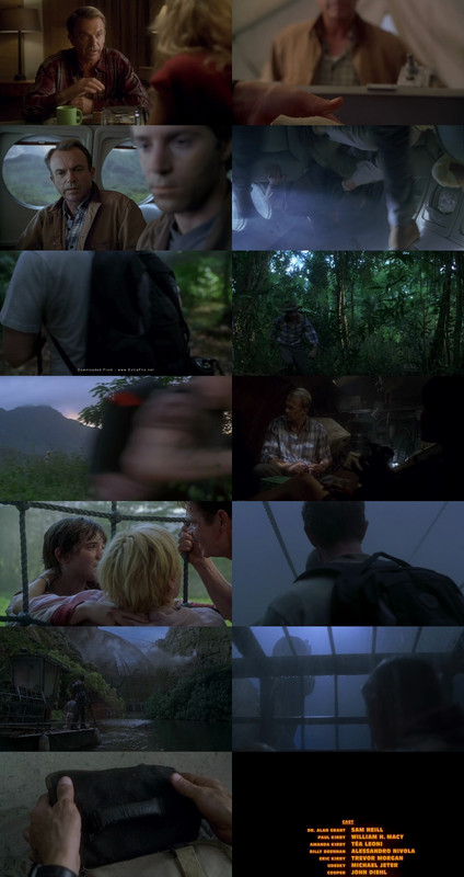 Jurassic Park III (2001) 1080p | 720p | 480p BluRay [Hindi (हिन्दी) + English] DD5.1 HEVC ESub Screenshots