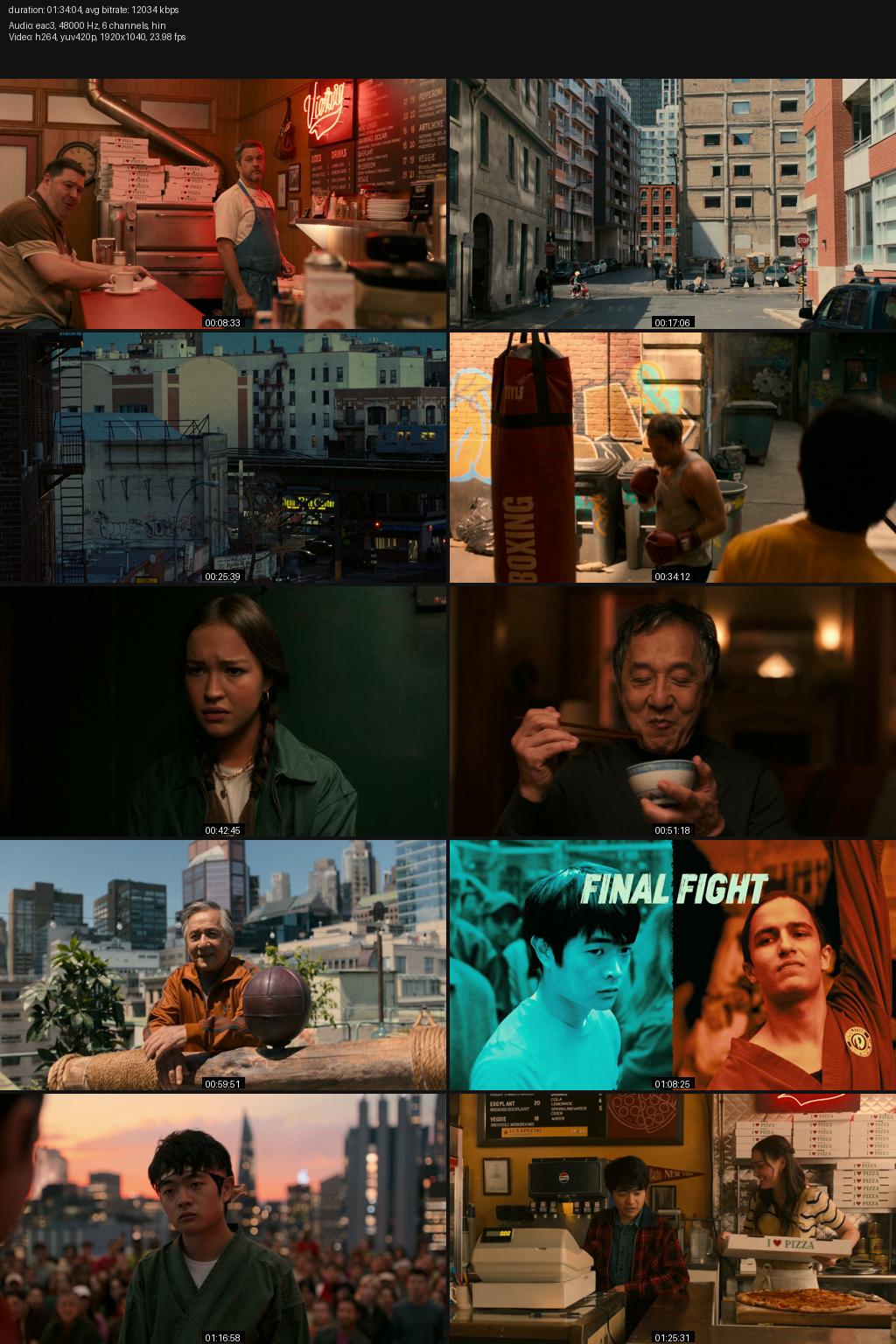 Karate Kid: Legends (2025) 4K 2160p | 1080p | 720p | 480p Amazon WEB-DL [Hindi-English] ESubs Screenshots