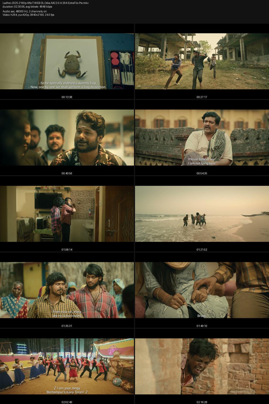 Ladhei (2025) [Odia] 4K 2160p 1080p 720p 480p AaoNXT WEB-DL HC-ESub Screenshots