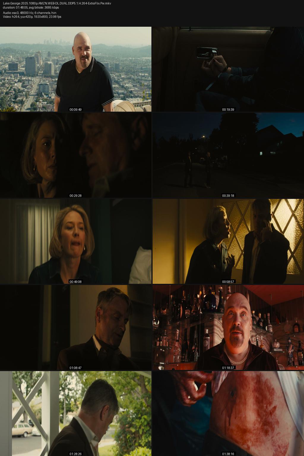 Lake George (2025) [Hindi-English] 1080p 720p 480p Amazon WEB-DL ESub Screenshots