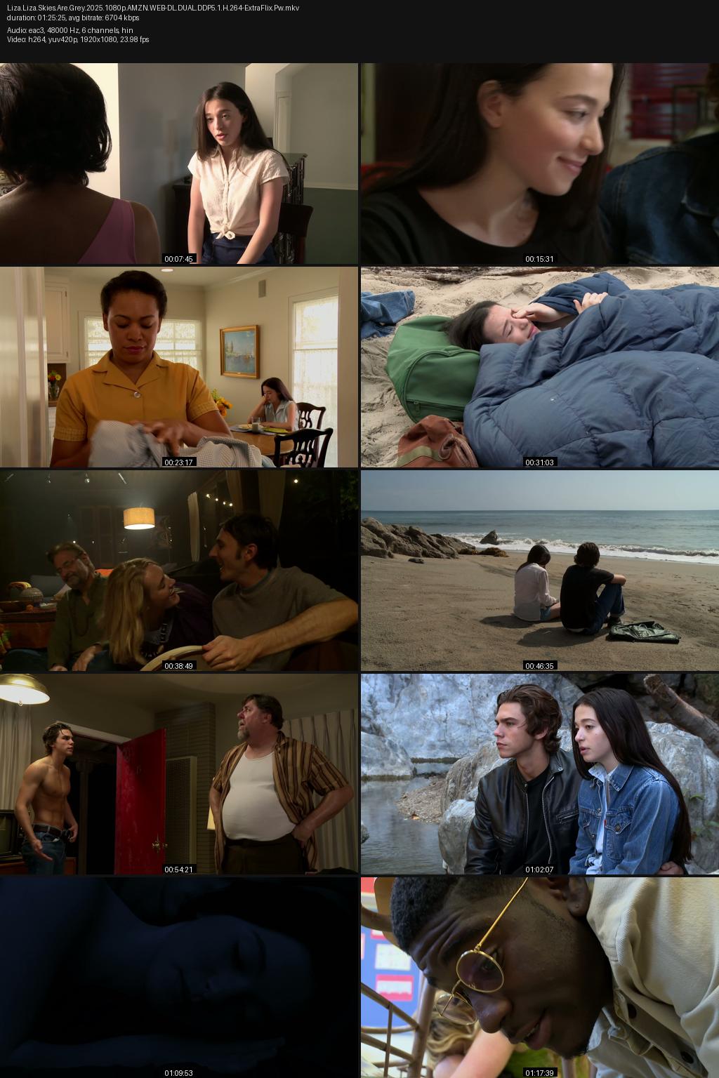 Liza, Liza, Skies Are Grey (2016) [Hindi-English] 1080p 720p 480p Amazon WEB-DL ESub Screenshots