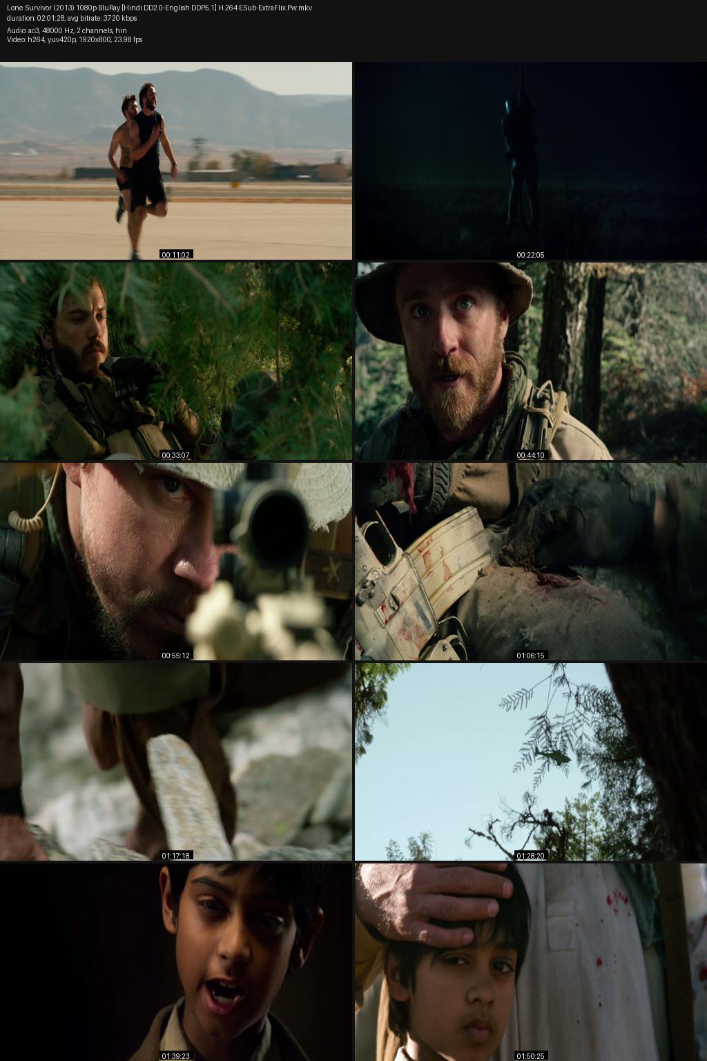 Lone Survivor (2013) [Hindi-English] 1080p 720p 480p BluRay ESub Screenshots