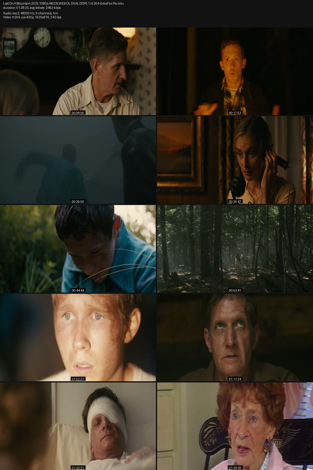 Lost on a Mountain in Maine (2024) [Hindi-English] 1080p 720p 480p Amazon WEB-DL ESub Screenshots