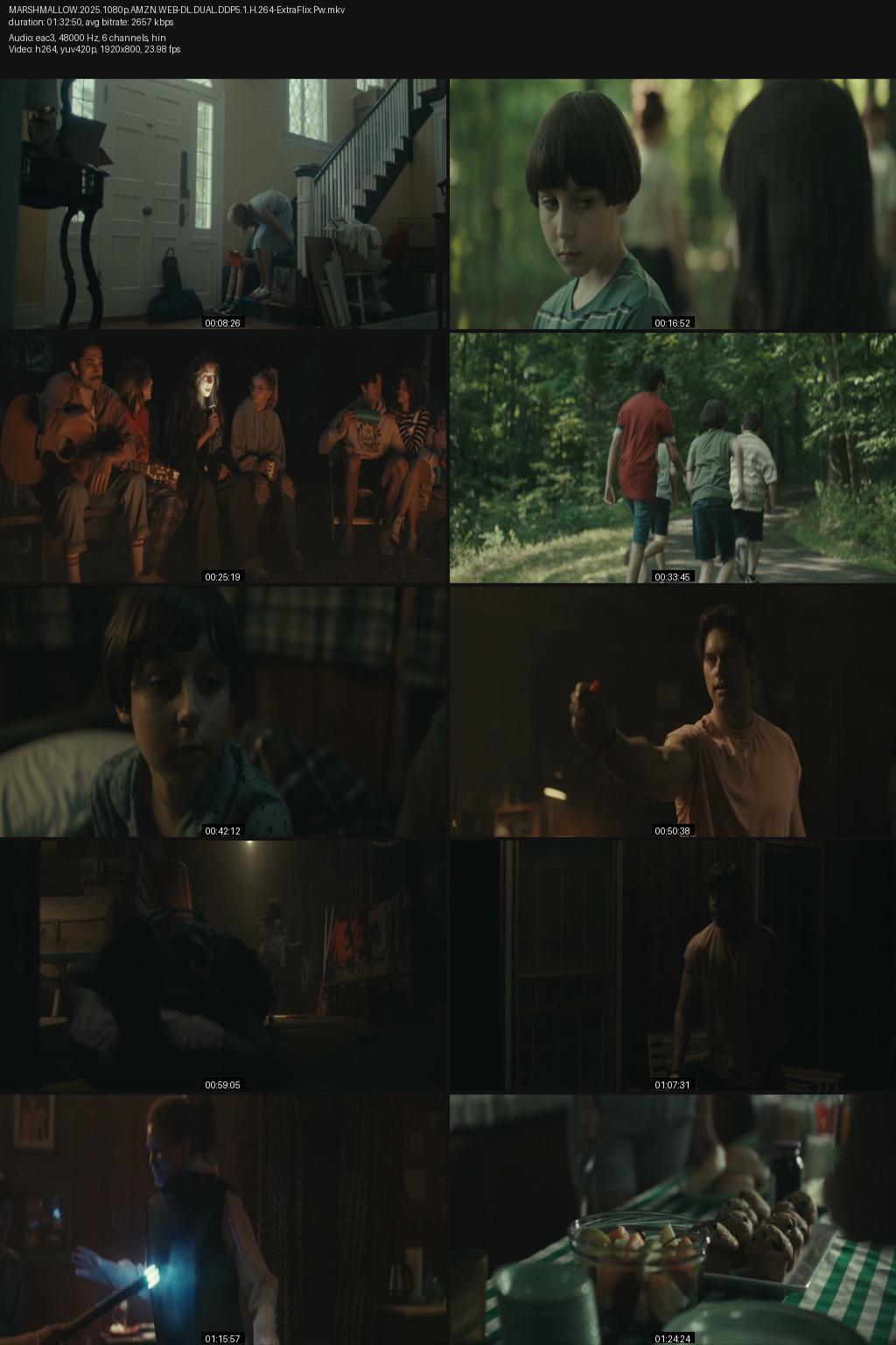 Marshmallow (2025) [Hindi-English] 1080p 720p 480p Amazon WEB-DL ESub Screenshots