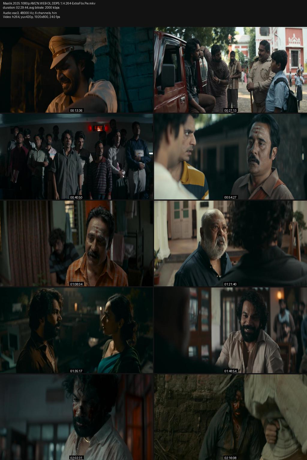 Maalik (2025) Hindi 4K 2160p 1080p 720p 480p Amazon WEB-DL ESub Screenshots