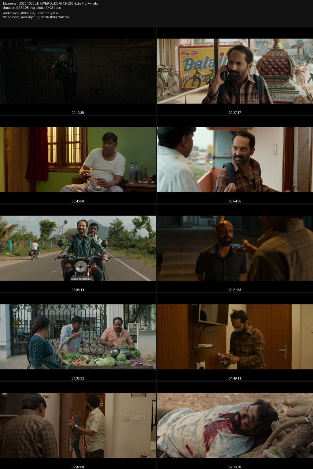 Maareesan (2025) [Hindi-Tamil] 4K 2160p 1080p 720p 480p Netflix WEB-DL ESub Screenshots
