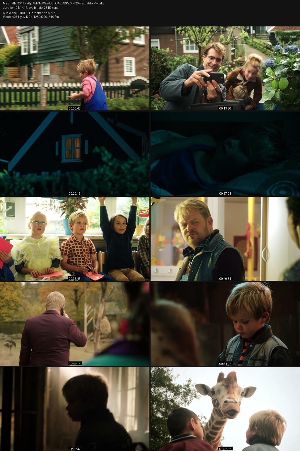My Giraffe (2017) [Hindi-English] 1080p 720p 480p Amazon WEB-DL ESub Screenshots
