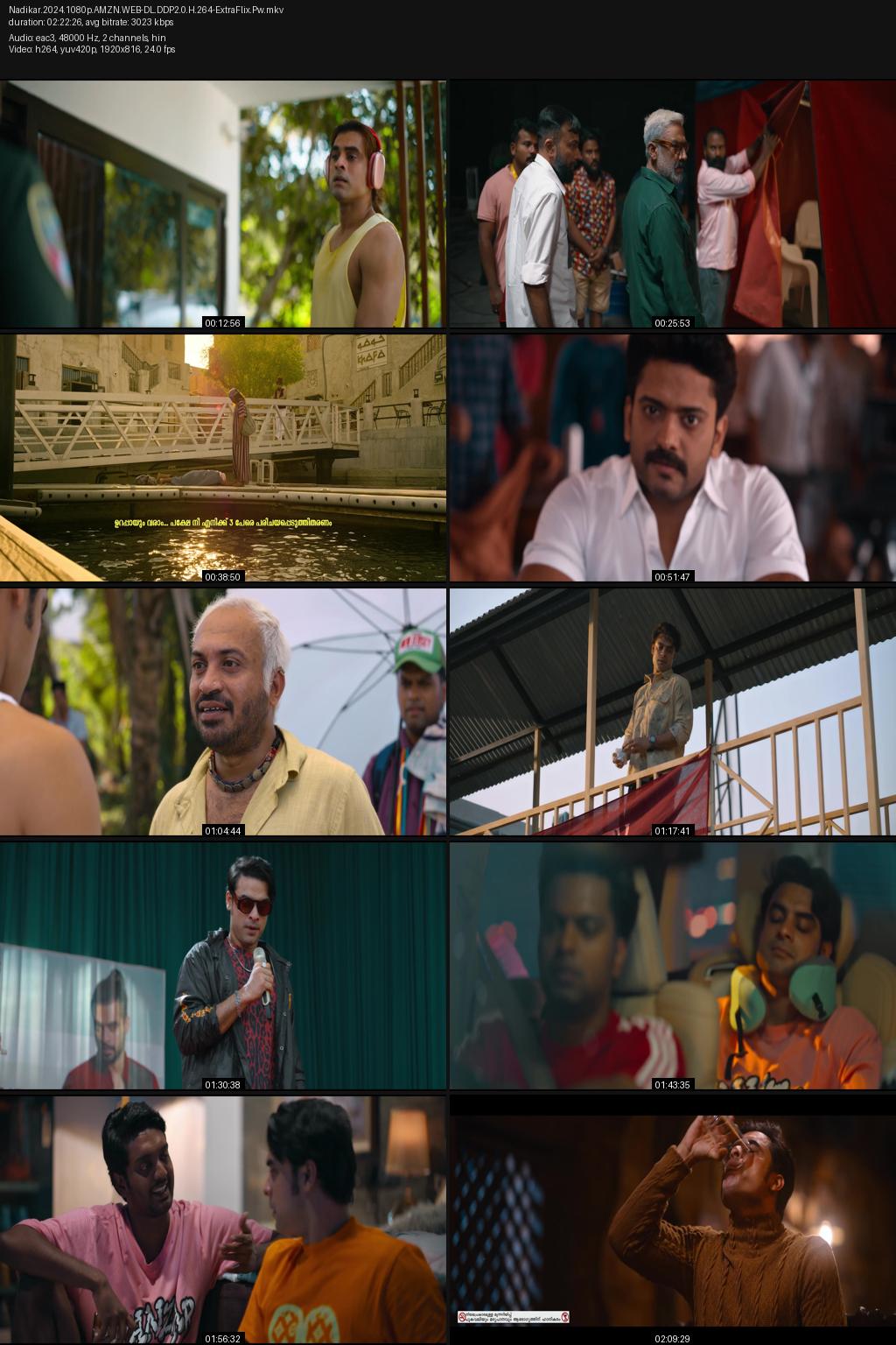 Nadikar (2024) [Hindi-Malayalam] 1080p 720p 480p Amazon WEB-DL ESub Screenshots