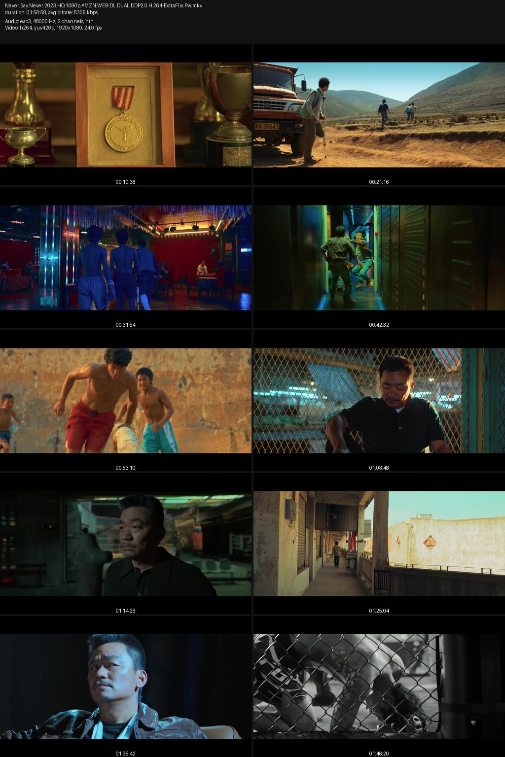 Never Say Never (2023) [Hindi-Chinese] 1080p 720p 480p Amazon WEB-DL ESub Screenshots