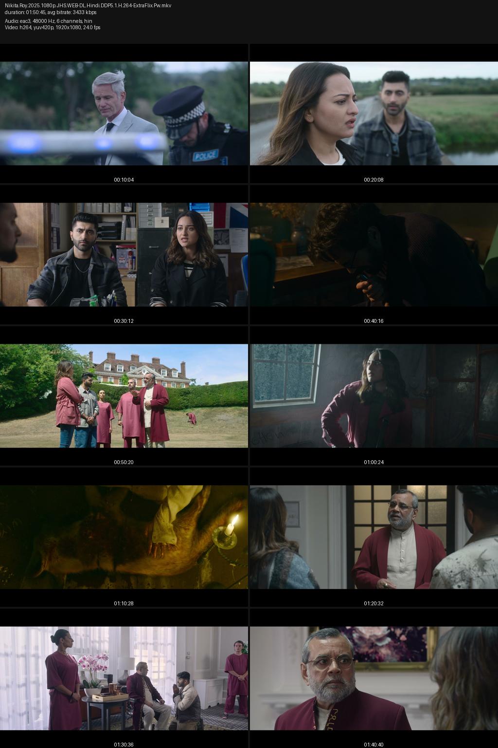 Nikita Roy (2025) [Hindi] 1080p 720p 480p JioHotstar WEB-DL ESub Screenshots