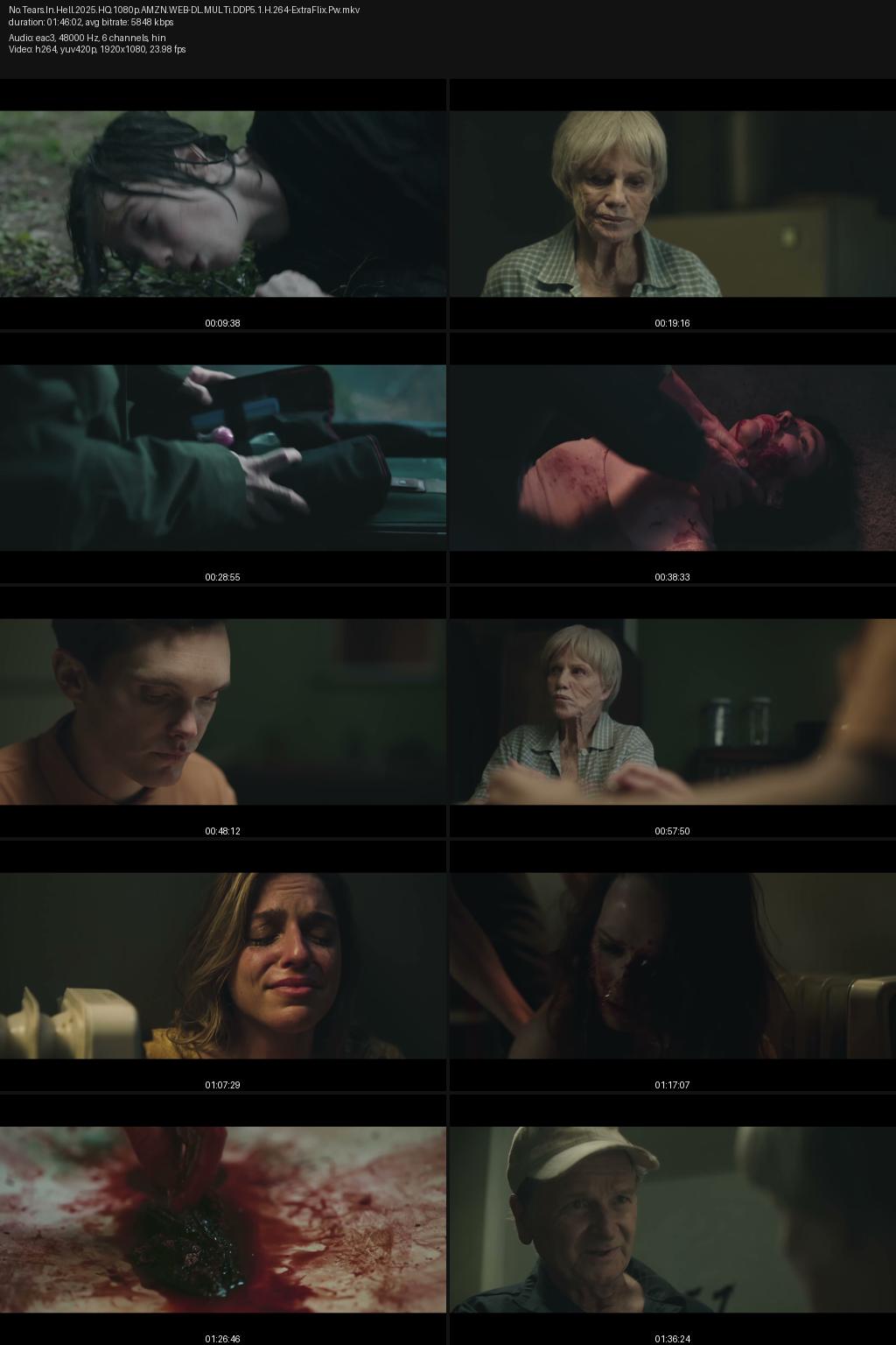 No Tears in Hell (2025) [Hindi-English] 1080p 720p 480p Amazon WEB-DL ESub Screenshots