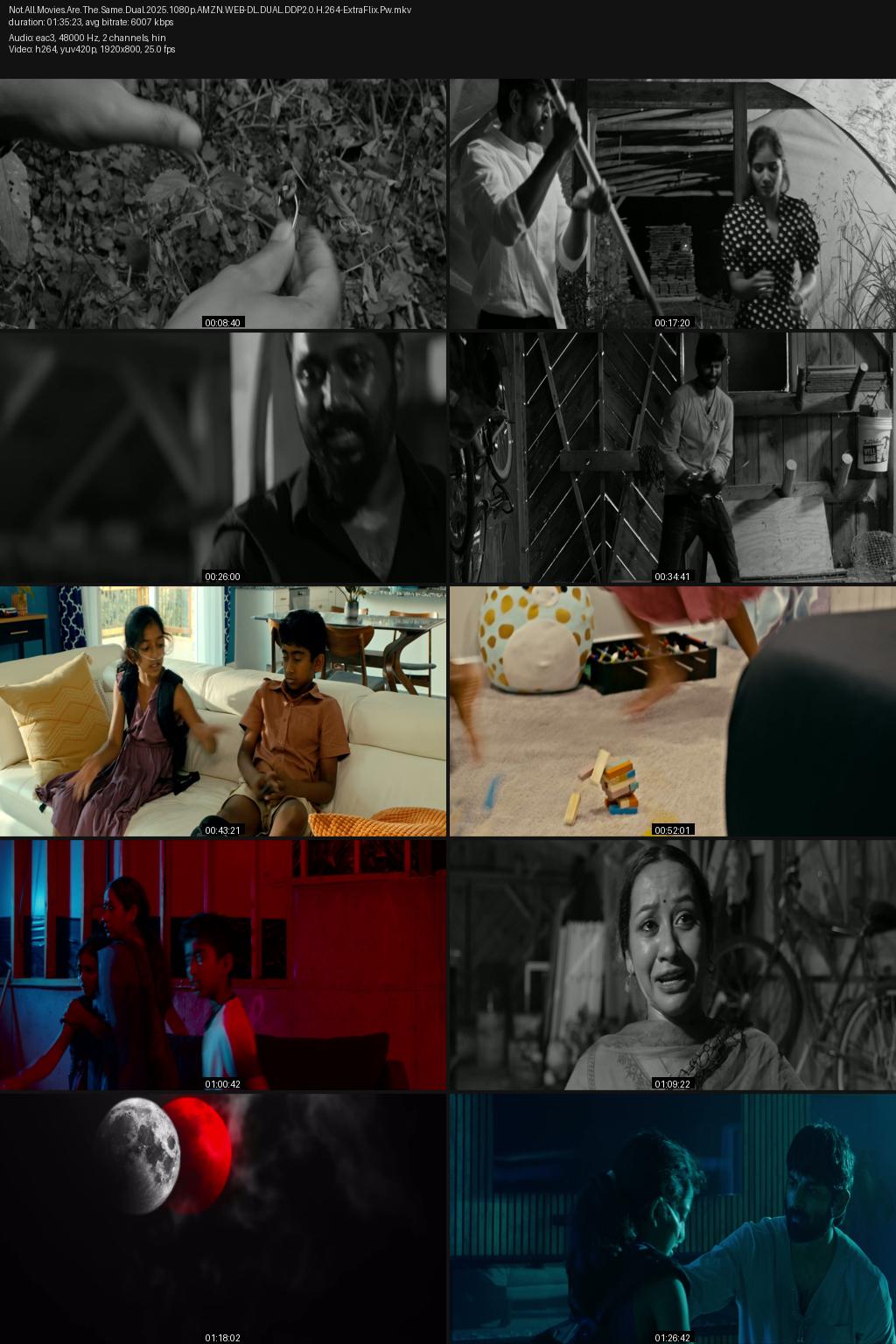 Not All Movies Are the Same: Dual (2025) [Hindi-Telugu] 1080p 720p 480p Amazon WEB-DL ESub Screenshots