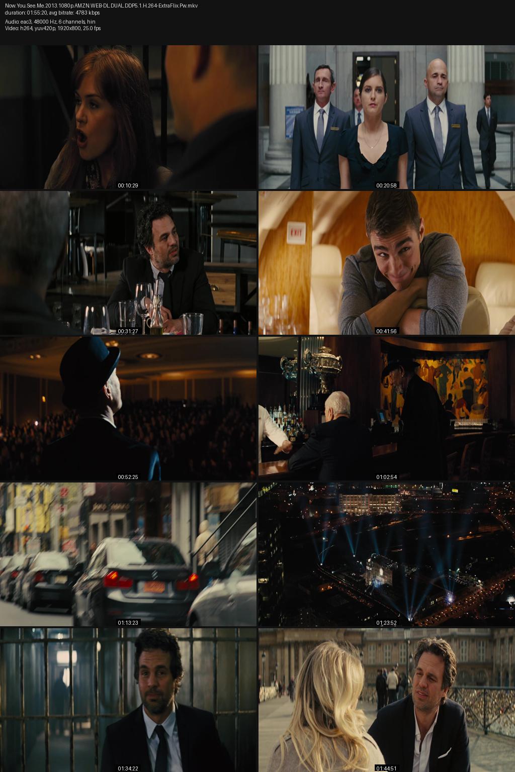 Now You See Me (2013) [Hindi-English] 1080p 720p 480p Amazon WEB-DL ESub Screenshots