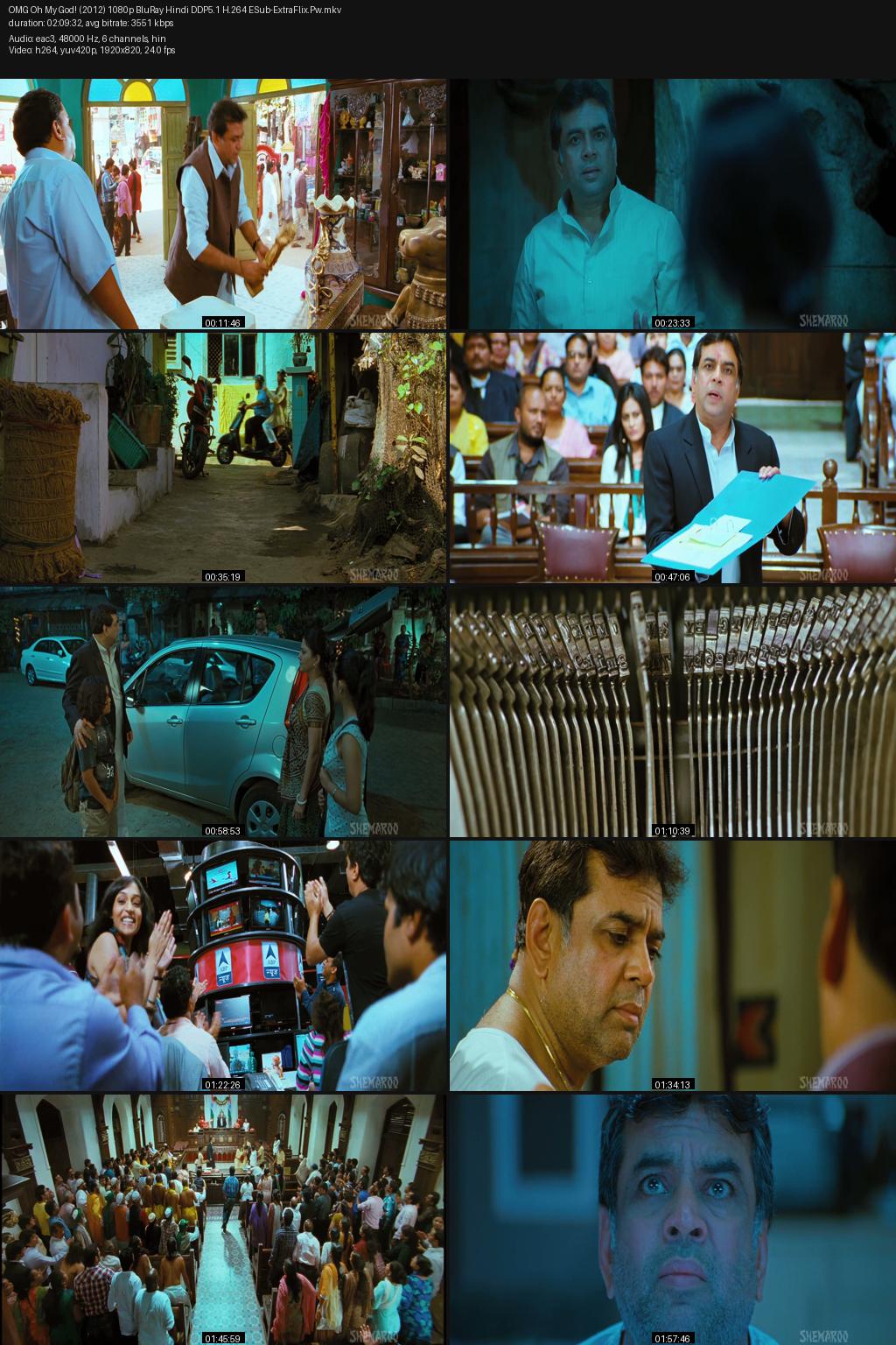 OMG: Oh My God! (2012) [Hindi] 1080p 720p 480p BluRay ESub Screenshots