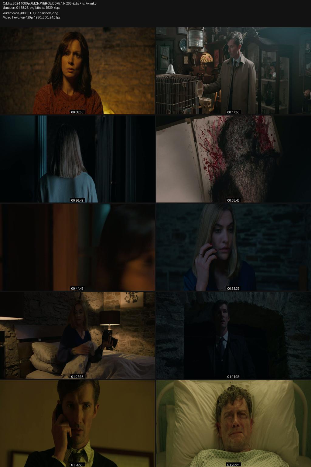 Oddity (2024) [Hindi-English] 1080p 720p 480p Amazon WEB-DL ESub Screenshots