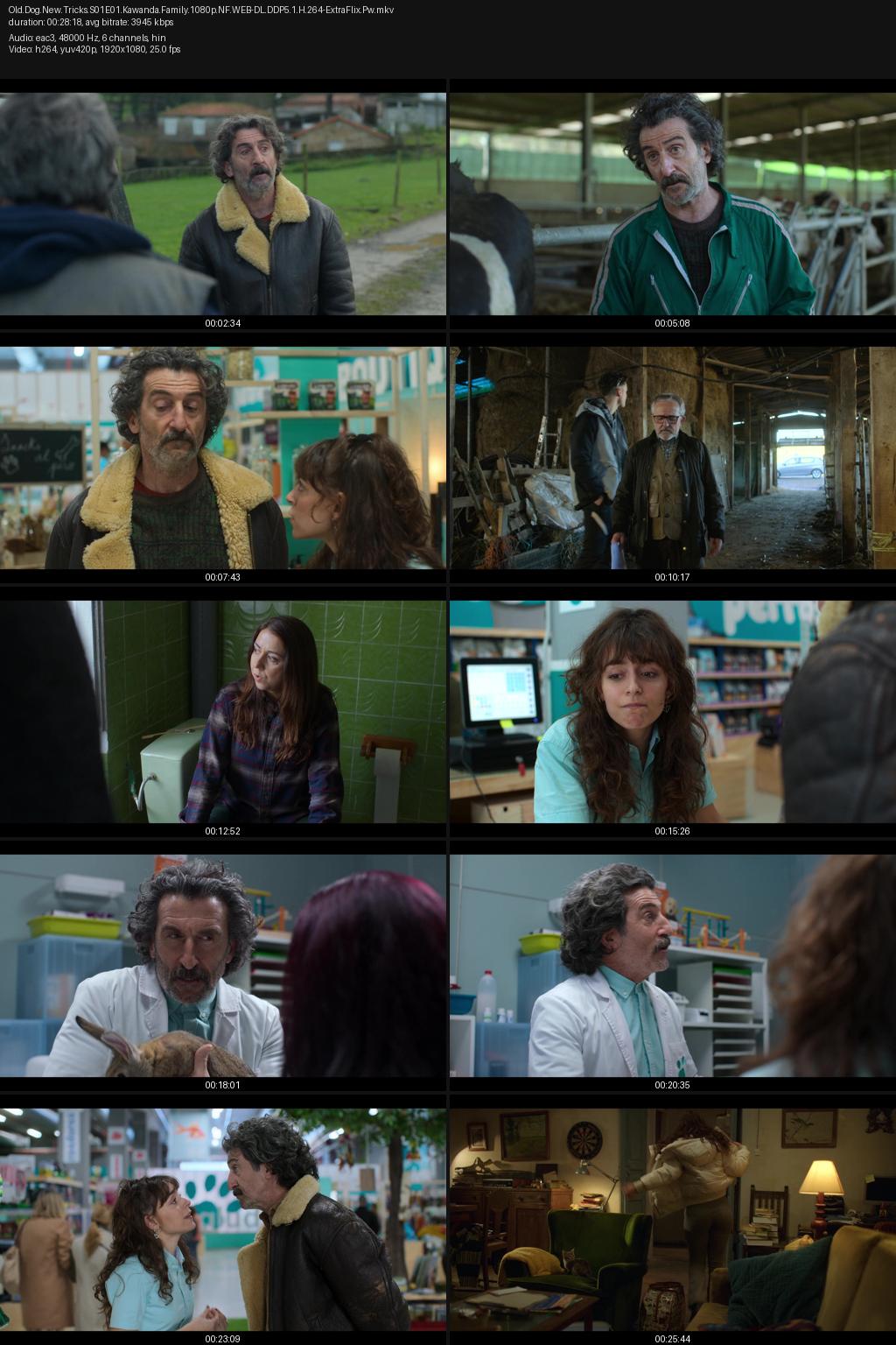 Old Dog, New Tricks Season 1 (2025) [Hindi-Spanish] 1080p 720p 480p Netflix WEB-DL ESubs Screenshots