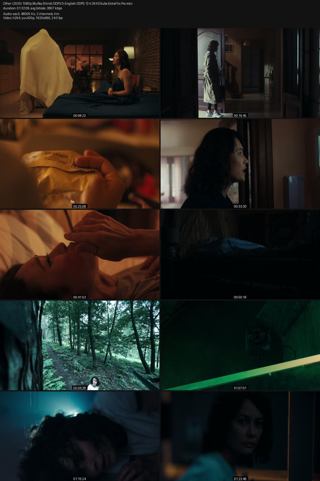 Other (2025) [Hindi-English] 1080p 720p 480p BluRay ESubs Screenshots