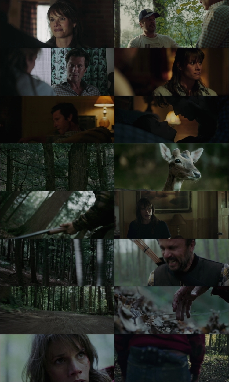 Out Come the Wolves (2024) 1080p | 720p | 480p Web-DL [Hindi (हिन्दी) English] DD5.1 ESubs Screenshots