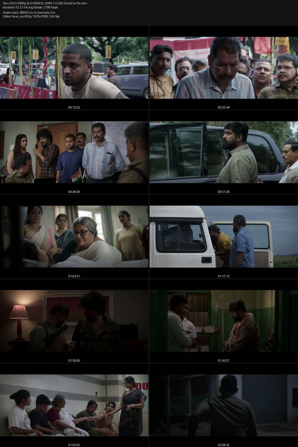 Pani (2024) 4K 2160p | 1080p | 720p | 360p SonyLIV WEB-DL [Hindi-Malayalam] ESub Screenshots
