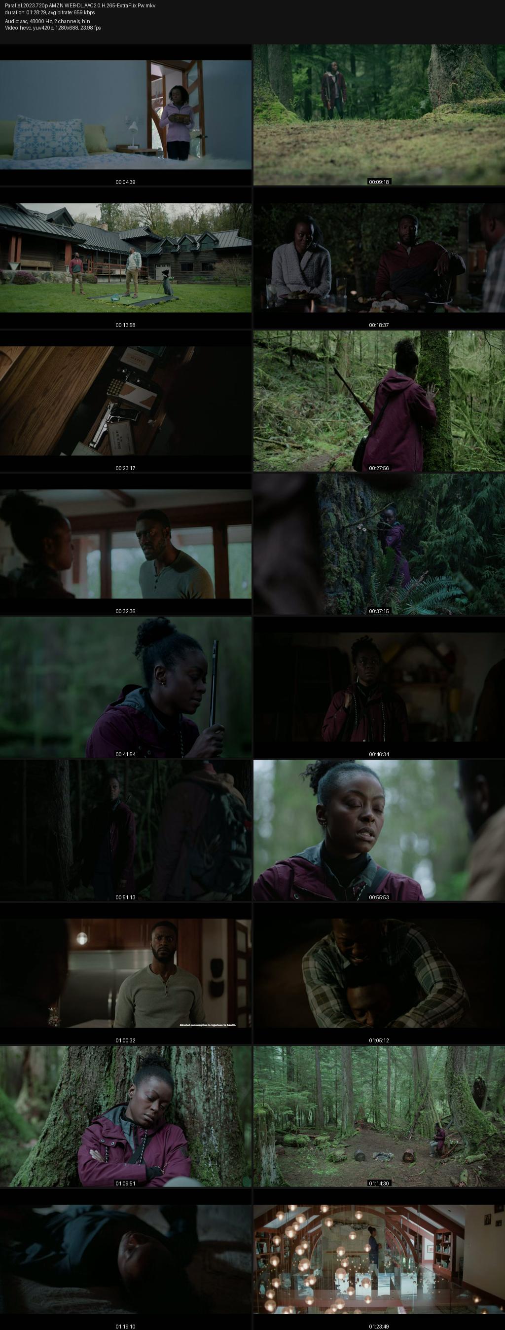 Parallel (2023) 1080p | 720p | 480p Amazon WEB-DL [Hindi-English] ESub Screenshots