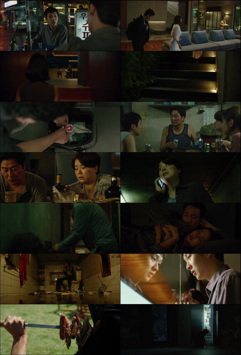 Parasite (2019) 1080p | 720p | 480p BluRay [Hindi (हिन्दी) + Korean] DD5.1 ESub Screenshots