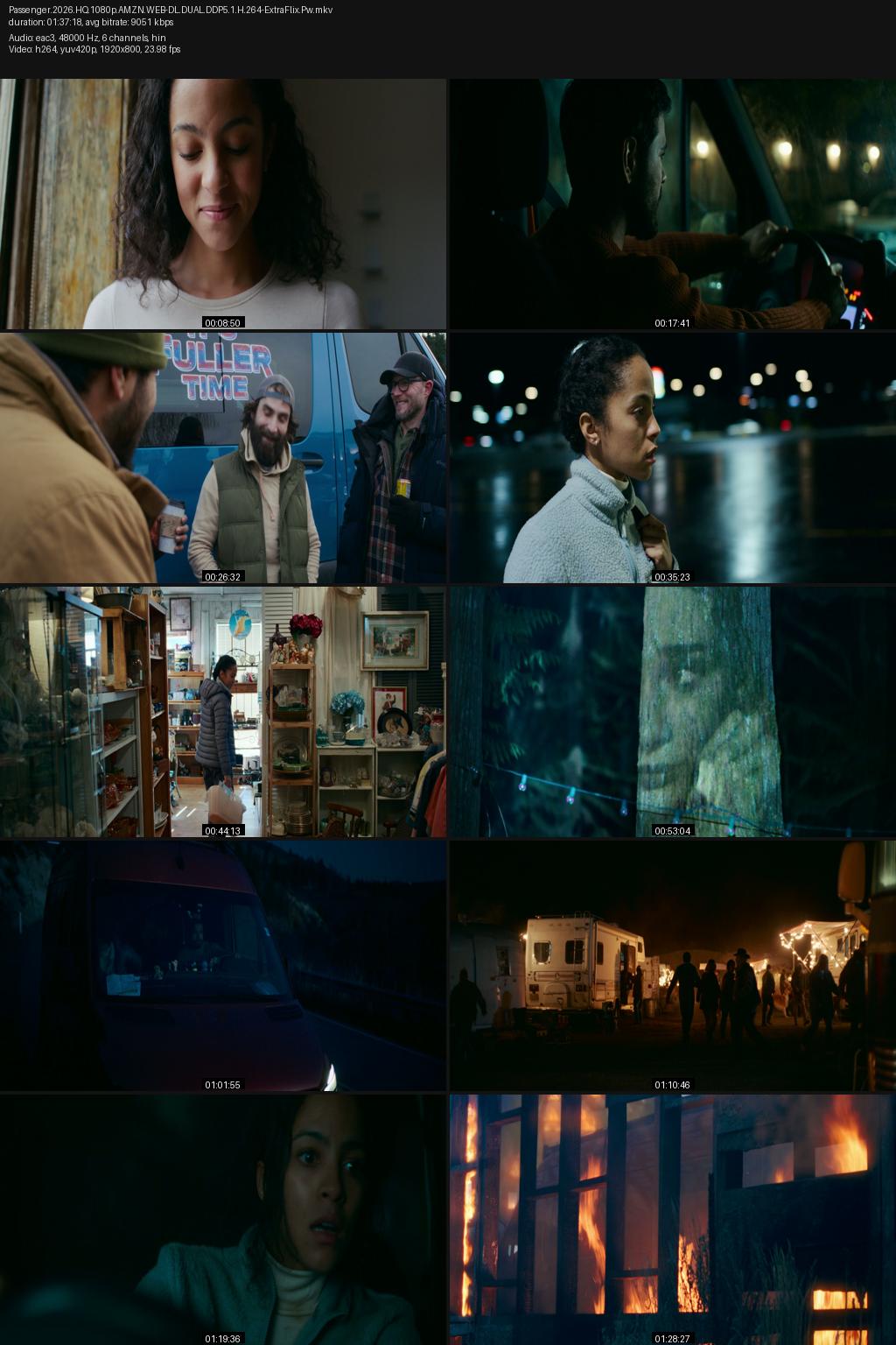 Passenger (2026) [Hindi-English] 1080p 720p 480p Amazon WEBRip ESubs Screenshots