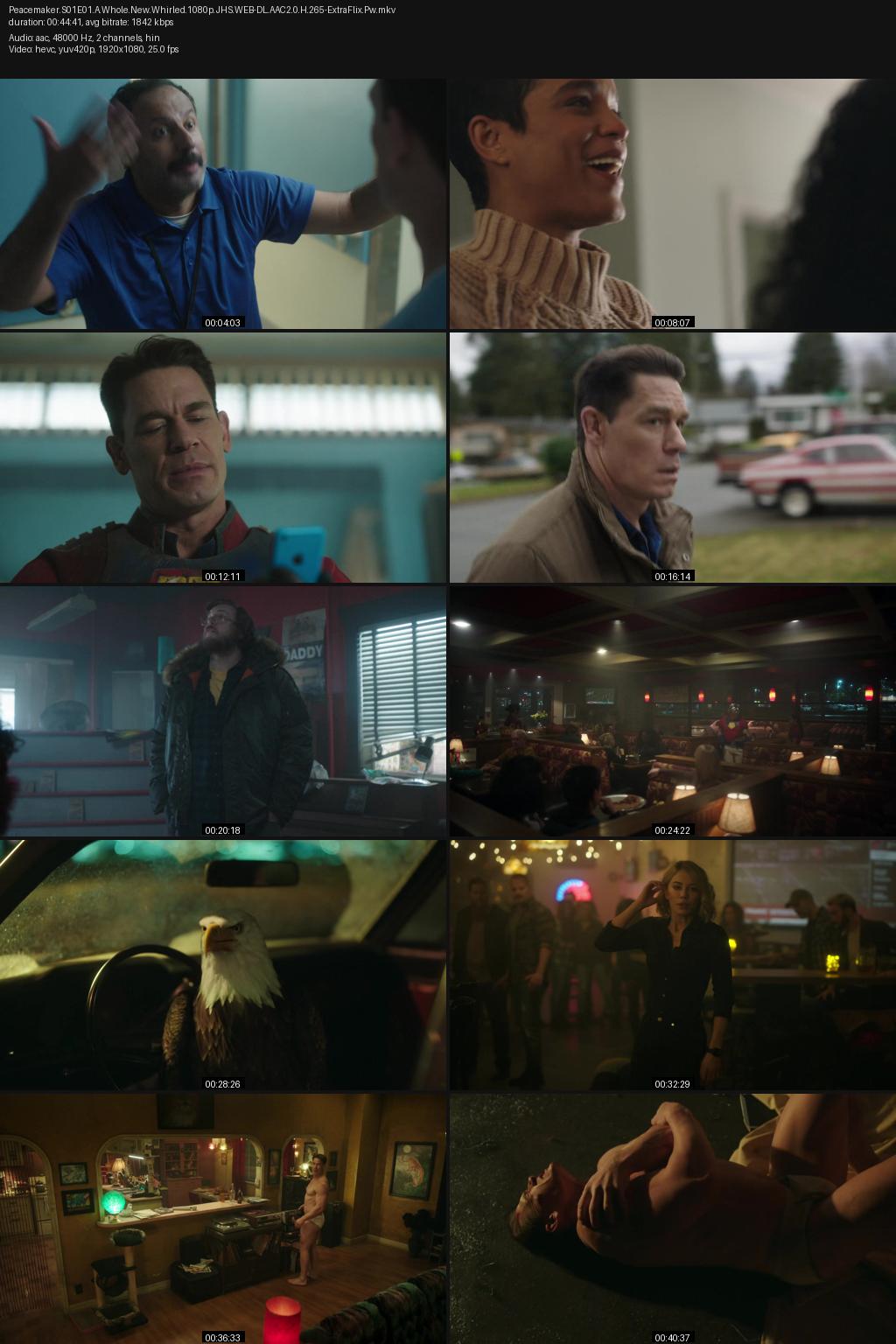 Peacemaker Season 1 (2022) [Hindi-Tamil-English] 1080p 720p 480p JioHotstar WEB-DL ESub Screenshots