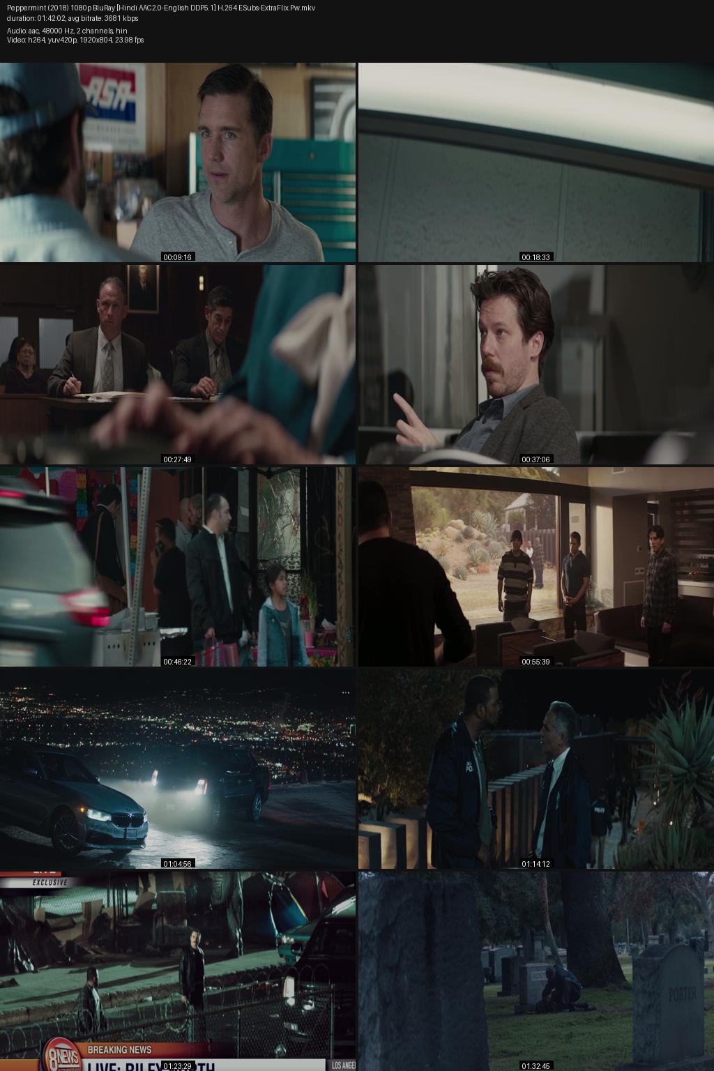 Peppermint (2018) [Hindi-English] 1080p 720p 480p BluRay ESubs Screenshots