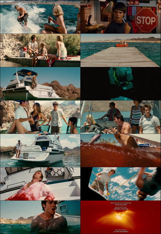 Piranha 3D (2010) 1080p | 720p | 480p BluRay [Hindi (हिन्दी) + English] DD5.1 ESub Screenshots