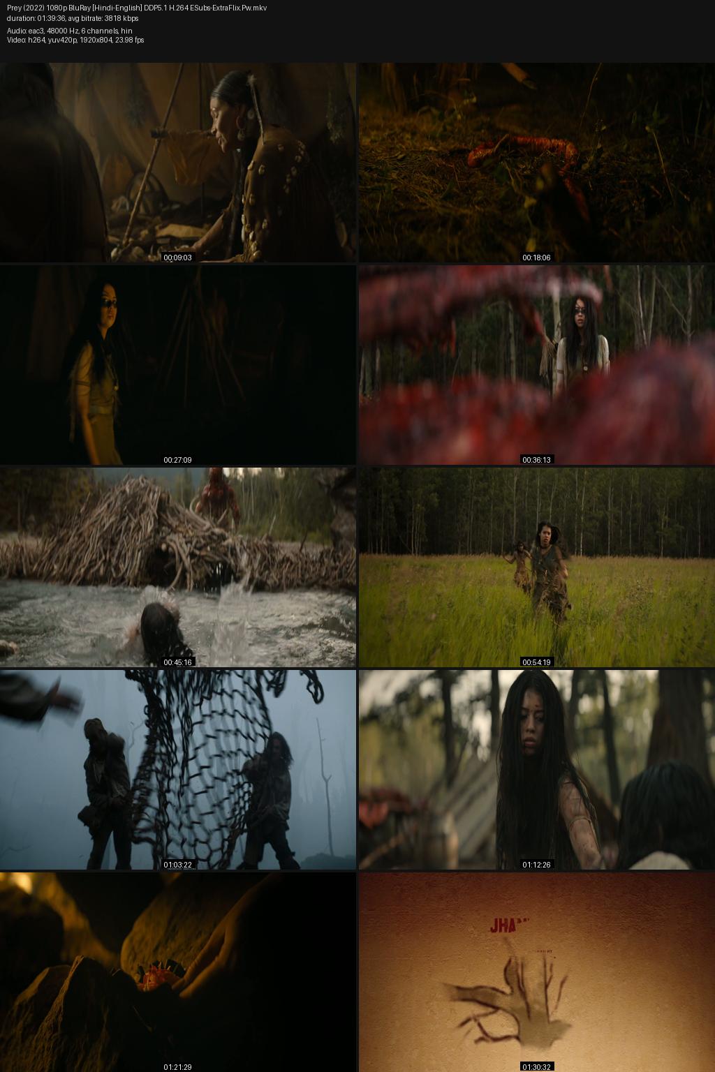 Prey (2022) [Hindi-English] 1080p 720p 480p BluRay ESubs Screenshots