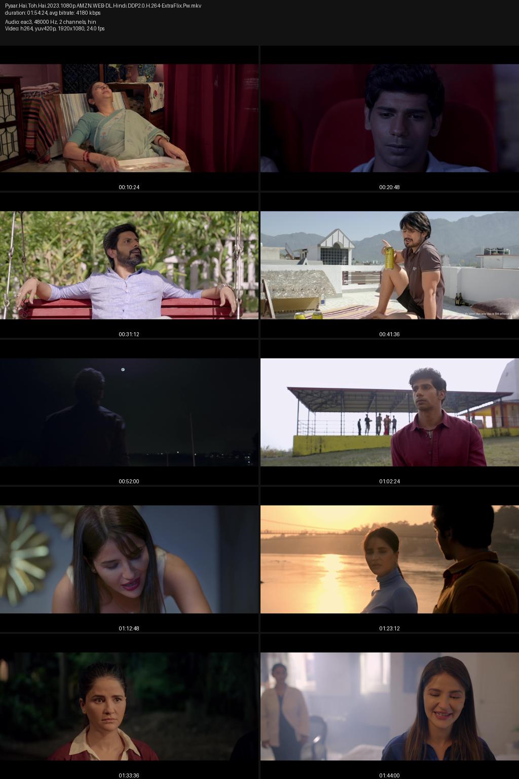 Pyaar Hai Toh Hai (2023) [Hindi] 1080p 720p 480p Amazon WEB-DL ESub Screenshots
