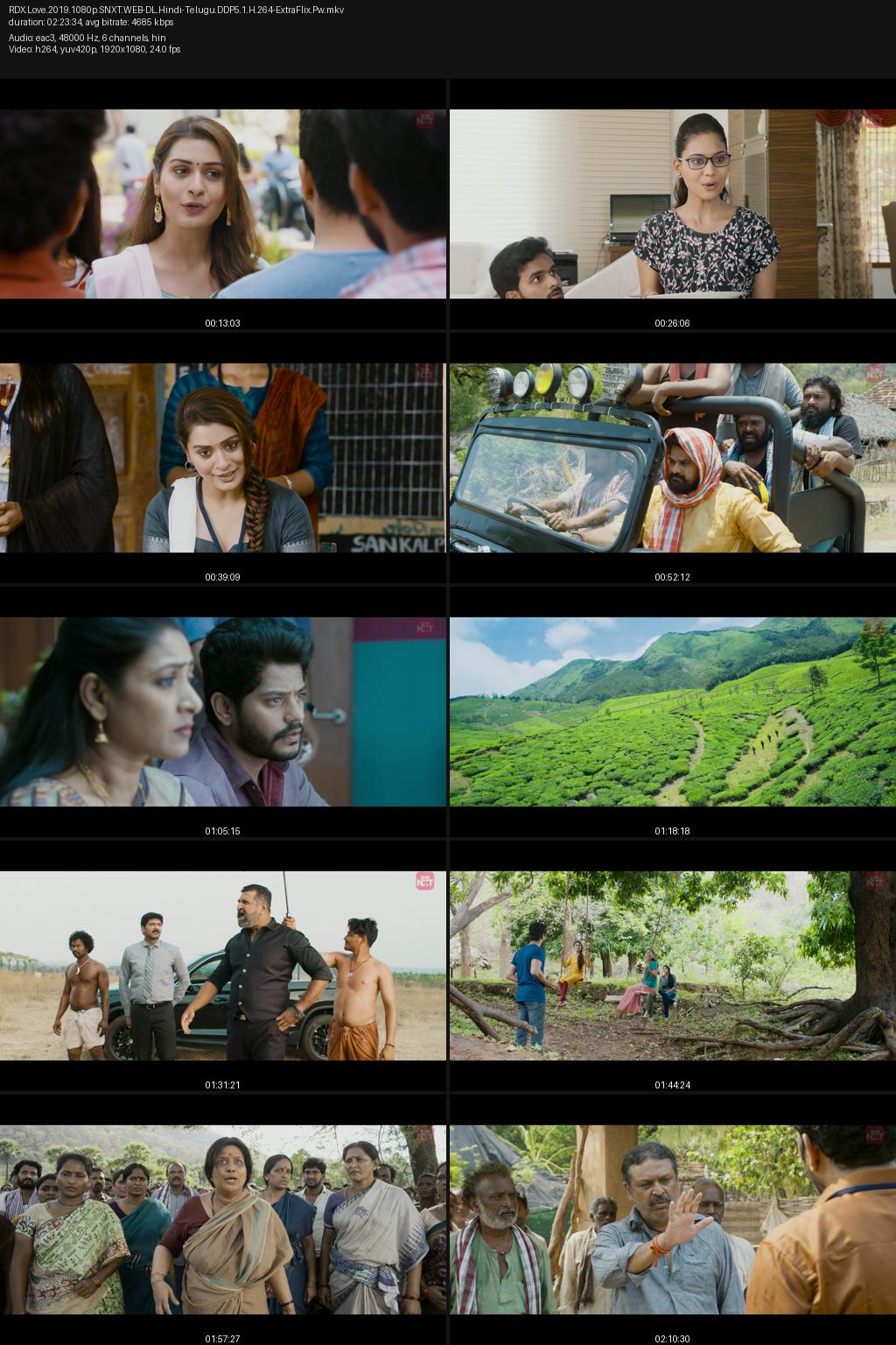 RDX Love (2019) [Hindi-Telugu] 4K 2160p 1080p 720p 360p SunNXT WEB-DL ESub Screenshots