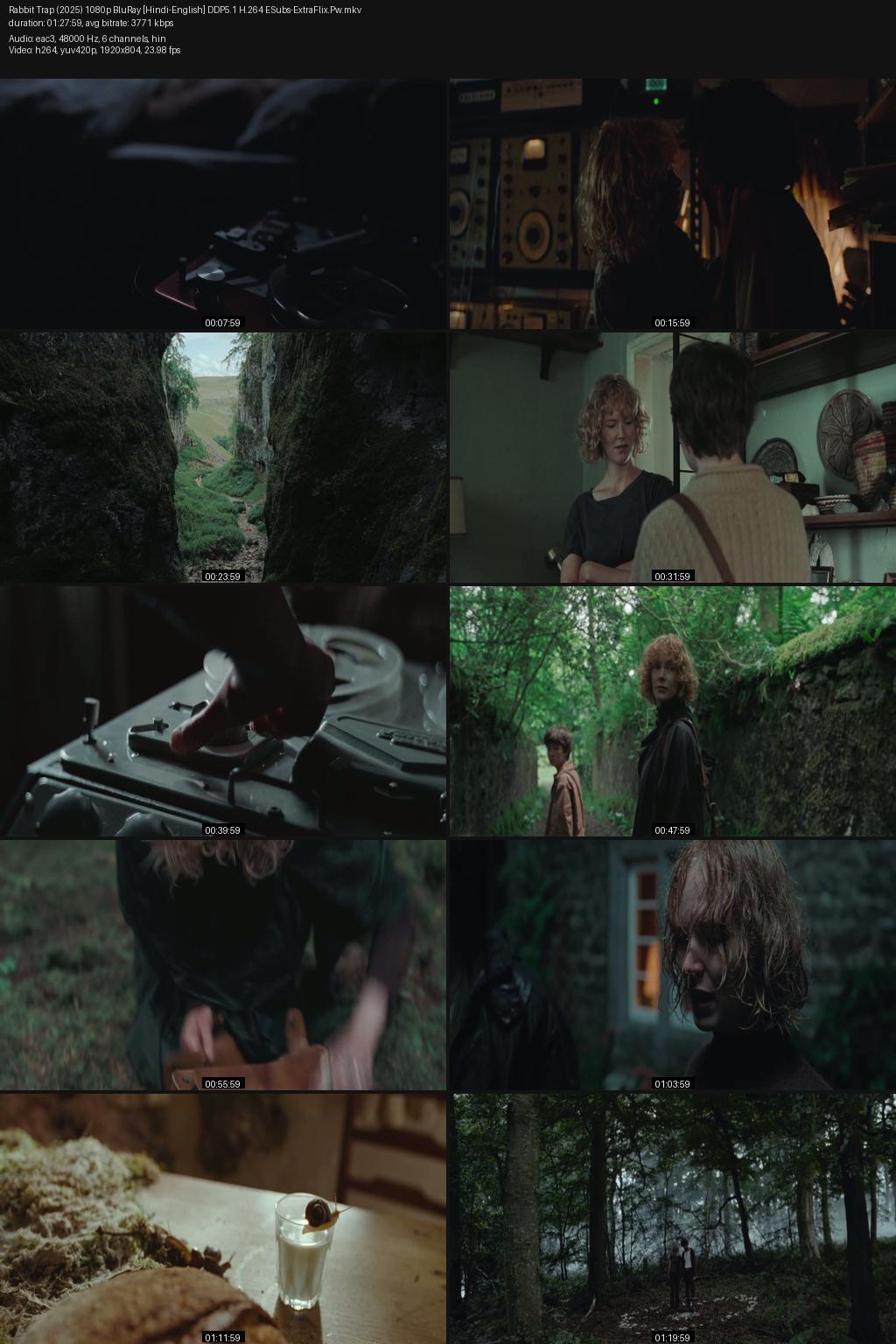 Rabbit Trap (2025) [Hindi-English] 1080p 720p 480p BluRay ESubs Screenshots