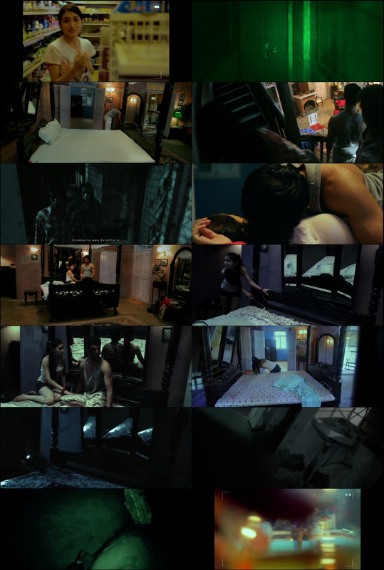 Ragini MMS (2011) 1080p | 720p | 480p WebRip [Hindi (हिन्दी)] DD5.1 ESub Screenshots