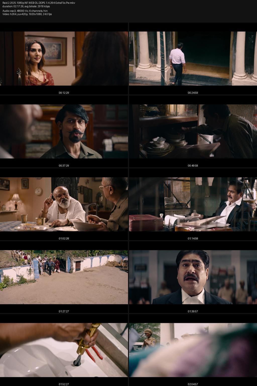 Raid 2 (2025) 4K 2160p | 1080p | 720p | 480p Netflix WEB-DL Hindi ESub Screenshots