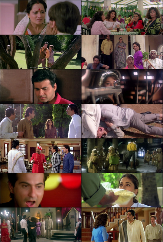 Raja (1995) 1080p | 720p | 480p WebRip [Hindi (हिन्दी)] DD5.1 ESub Screenshots