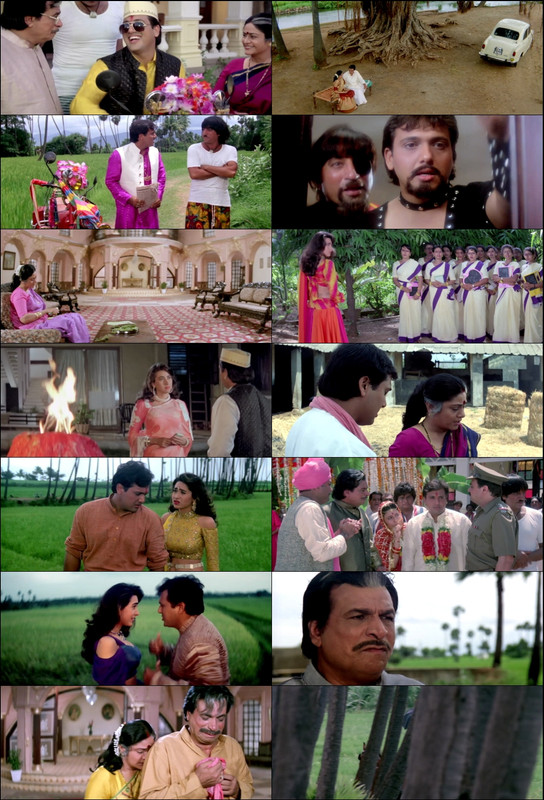 Raja Babu (1994) 1080p | 720p | 480p WebRip [Hindi (हिन्दी)] DD5.1 ESub Screenshots