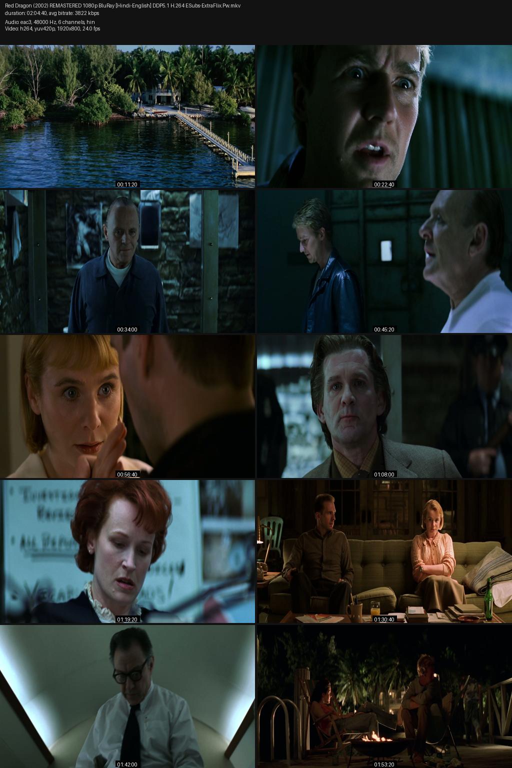 Red Dragon (2002) [Hindi-English] 1080p 720p 480p BluRay ESub Screenshots