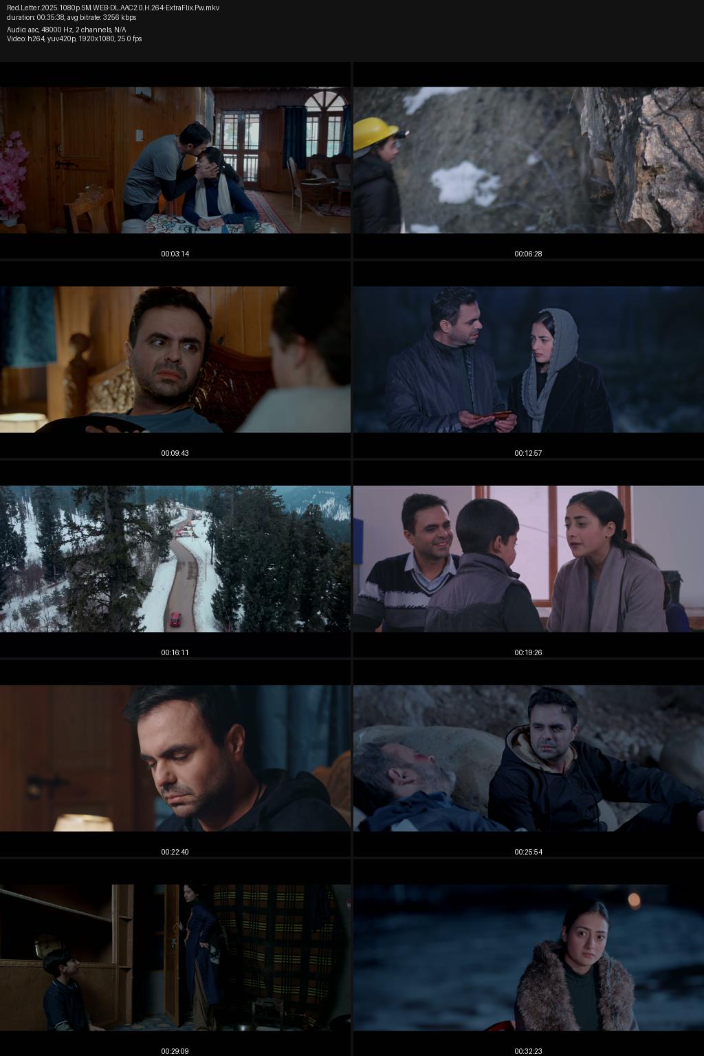 Red Letter (2025) Hindi 4K 2160p 1080p 720p 480p Shemaroome WEB-DL Screenshots