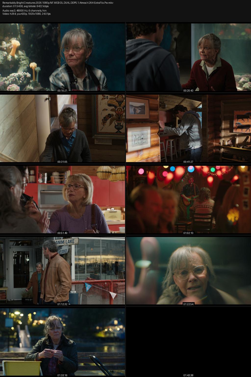 Remarkably Bright Creatures (2026) [Hindi-English] 1080p 720p 480p Netflix WEB-DL ESubs Screenshots
