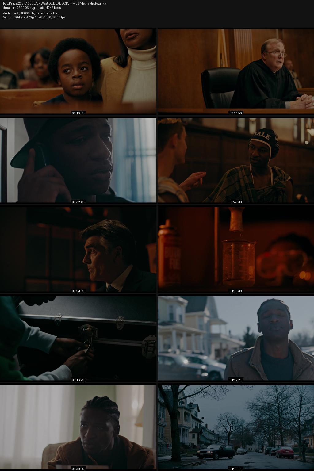 Rob Peace (2024) [Hindi-English] 4K 2160p 1080p 720p 480p Netflix WEB-DL ESubs Screenshots