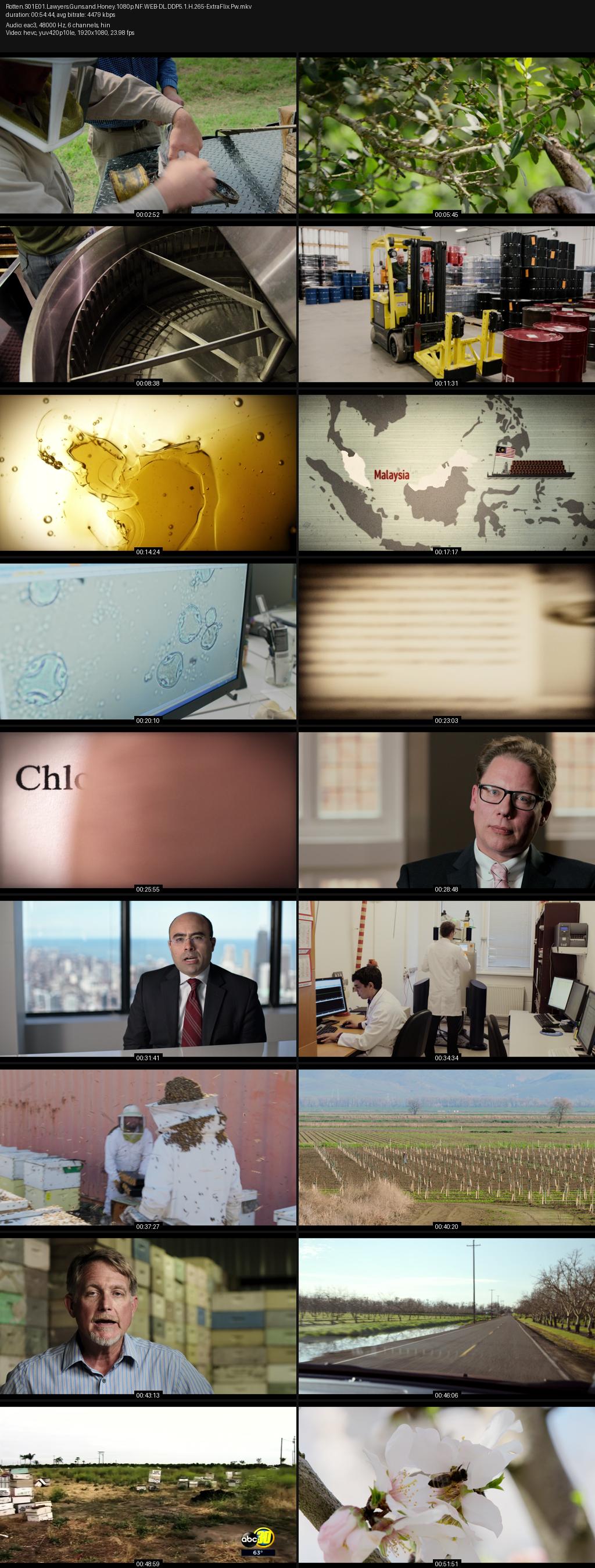 Rotten Season 1 (2018) 1080p | 720p | 480p Netflix WEB-DL [Hindi-English] ESubs Screenshots