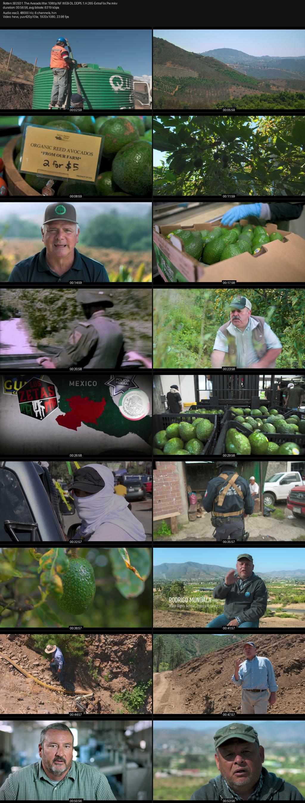Rotten Season 2 (2019) 1080p | 720p | 480p Netflix WEB-DL [Hindi-English] ESubs Screenshots