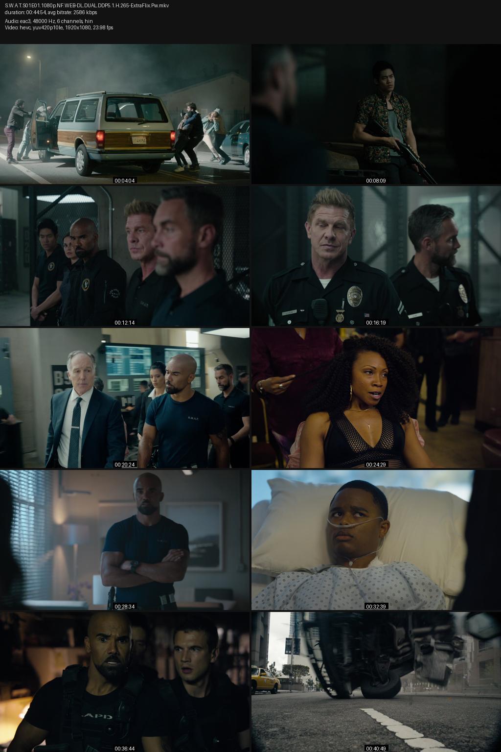 S.W.A.T. Season 1 (2017) [Hindi-English] 1080p 720p 480p Netflix WEB-DL ESubs Screenshots