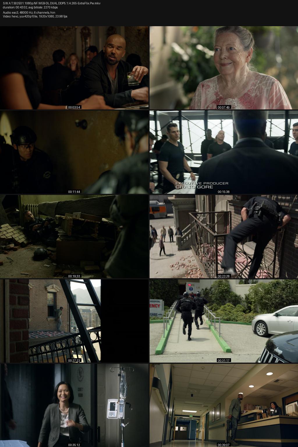 S.W.A.T. Season 2 (2018) [Hindi-English] 1080p 720p 480p Netflix WEB-DL ESubs Screenshots