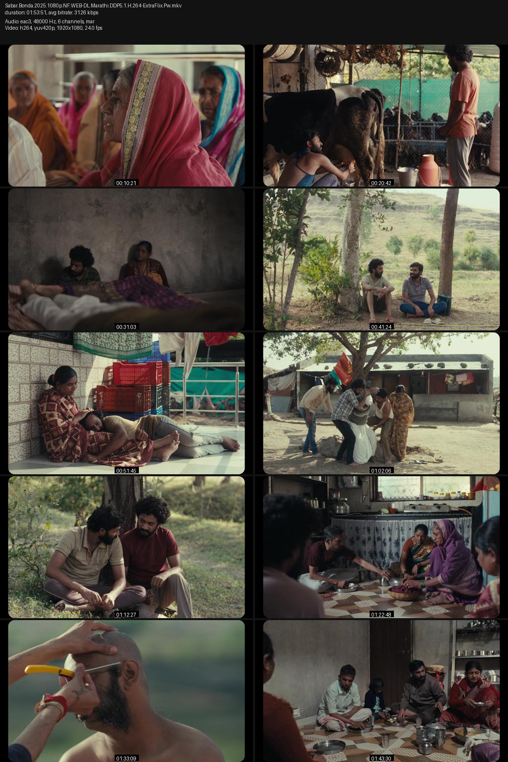 Cactus Pears aka Sabar Bonda (2025) [Marathi] 1080p 720p 480p Netflix WEB-DL ESub Screenshots