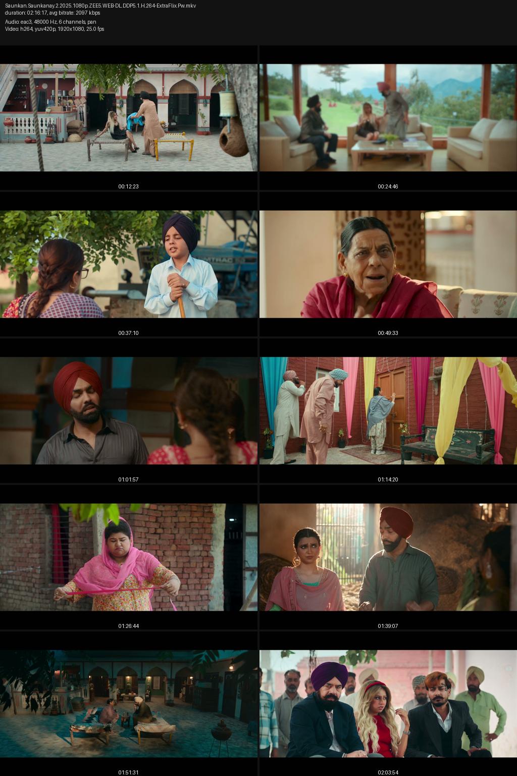 Saunkan Saunkanay 2 (2025) Punjabi 4K 2160p 1080p 720p 480p ZEE5 WEB-DL ESub Screenshots